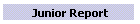 Junior Report